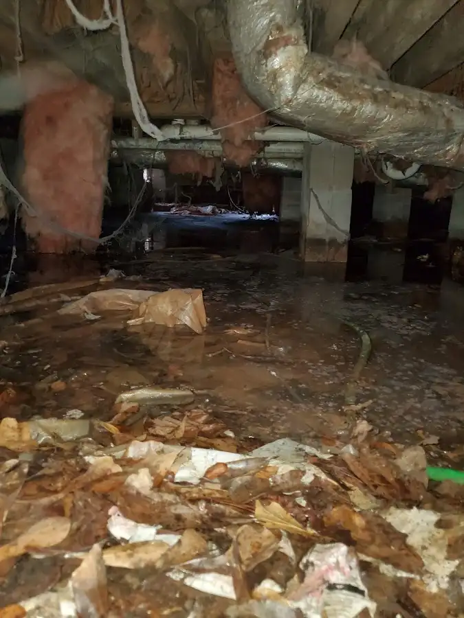 Crawl space flood assessment for Leak Detection & Repair in Kapaa